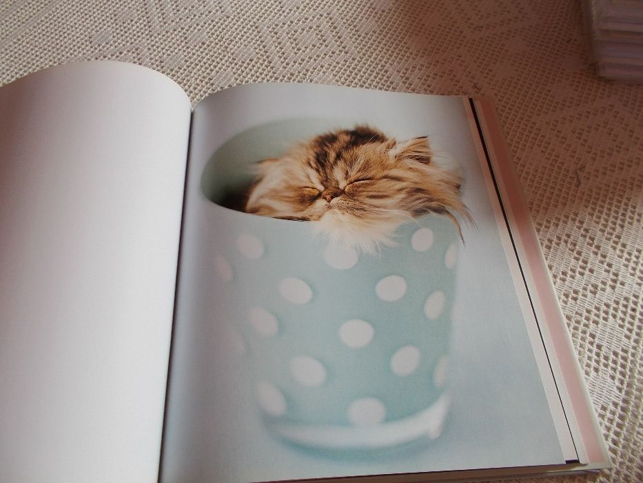 Livro sobre gatos The Cat´s Pajamas