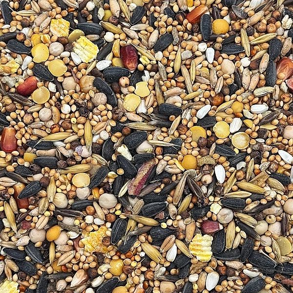 20kg Karma dla papug średnich papugi nimfa rozella pokarm STANDARD Cha