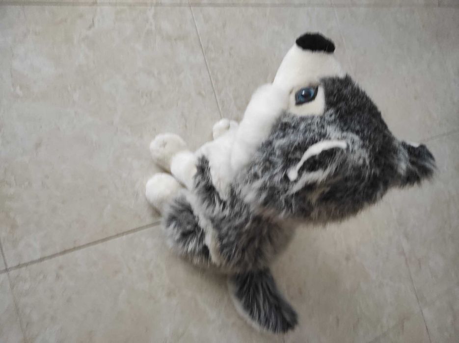 Cão de peluche da "Serra da Estrela"