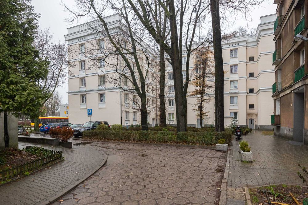 do wynajęcia mieszkanie