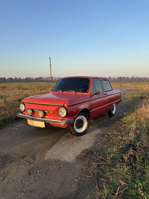 Продам зазіка легенду