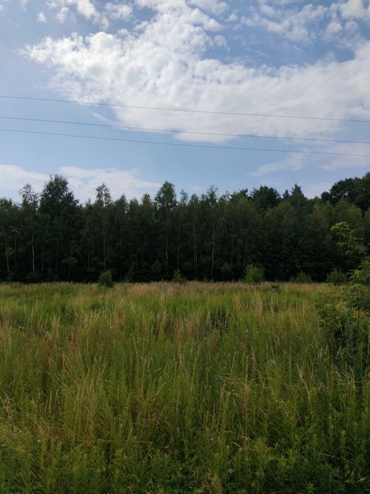 OKAZJA działka 47 arów z warunkami zabudowy pod lasem