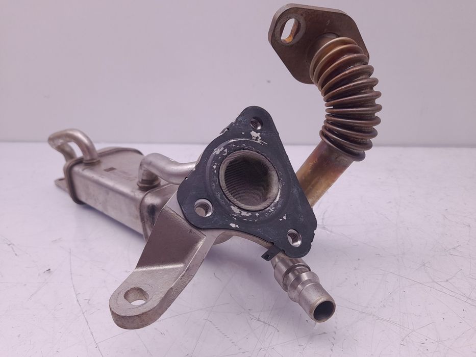 Radiador de gases / EGR RENAULT Clio IV (BH_)