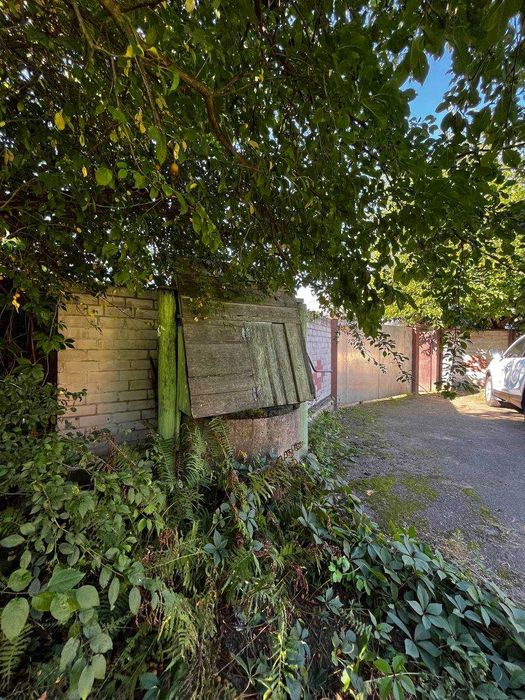 Будинок в Старому Білоусі. Є- відновлення