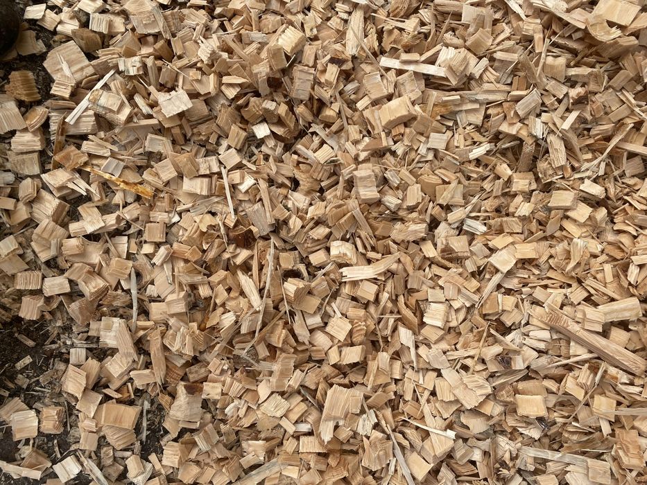 Rębak tarczowy spalinowy