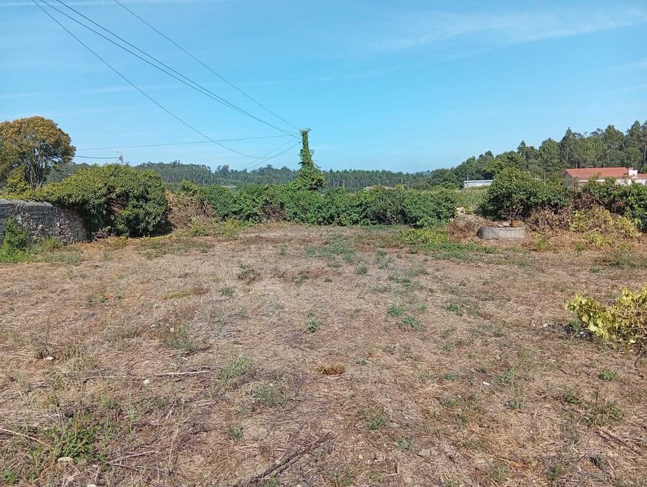 Terreno 2.802 m² – 60m de frente – Beiriz – 215.000 €