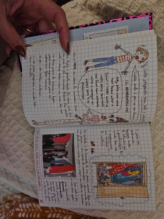 Coleção de 2 livros: O meu diário Top Secret (Dee Shulman)