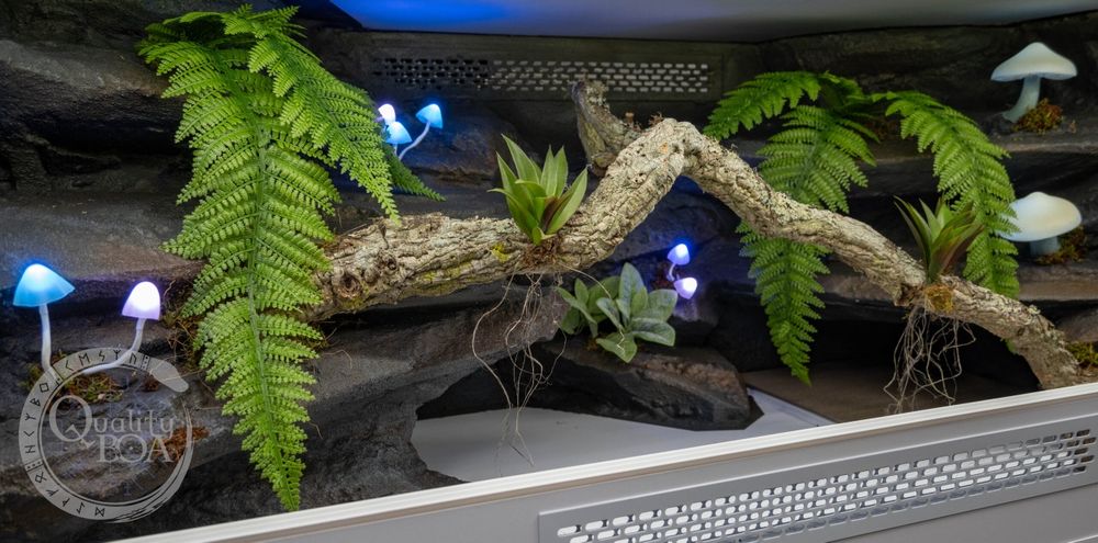 Terrarium dla węża