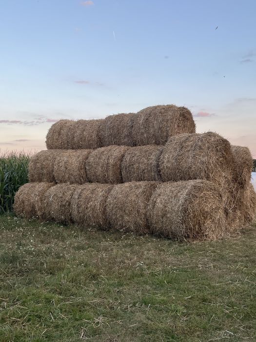 Sprzedam słomę bele 120x120