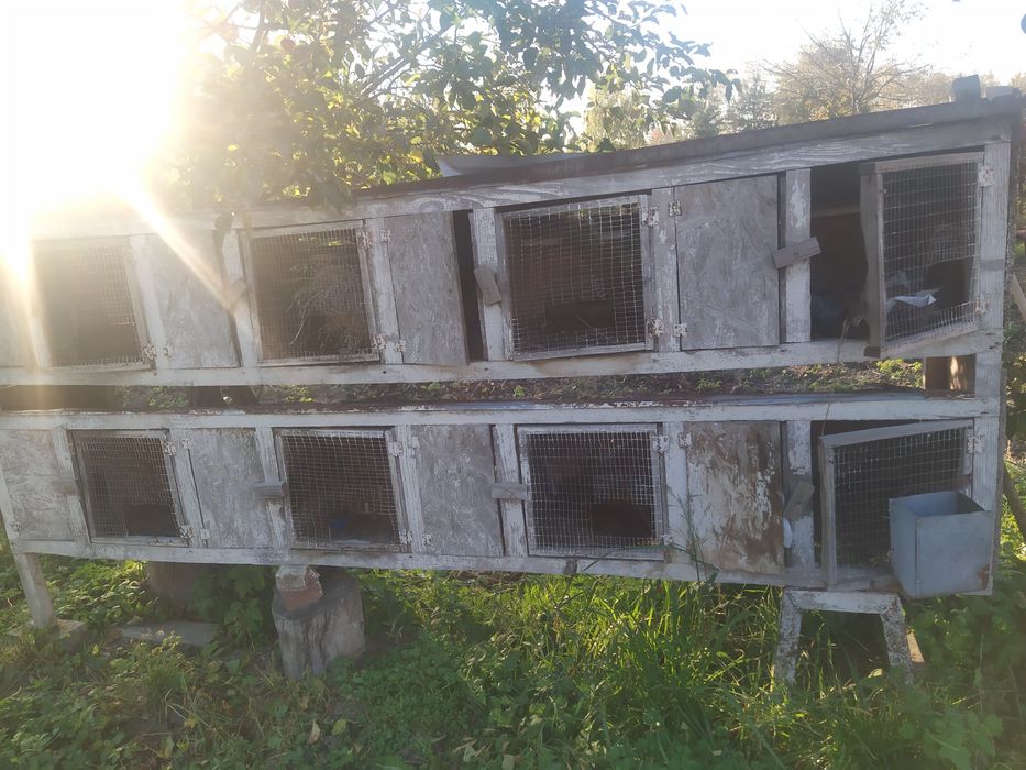 Клітка для кролів,або птиці