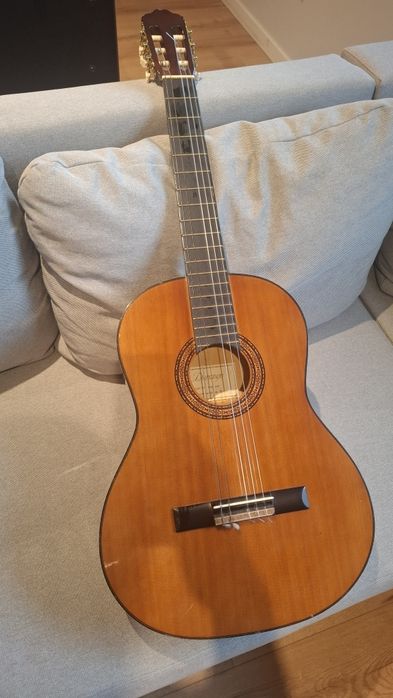 Gitara Durango MG-011 + pokrowiec Vatman