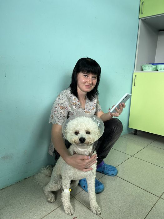 Ветеринарний лікар