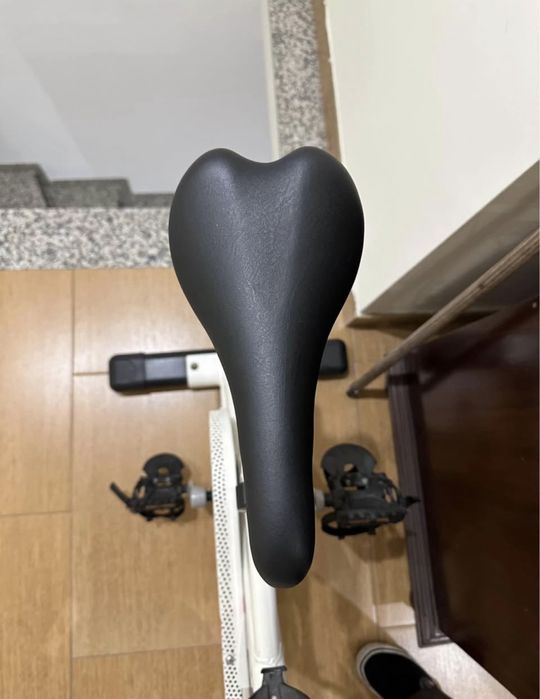 Bicicleta Spinning BH Fitness SB 1.0