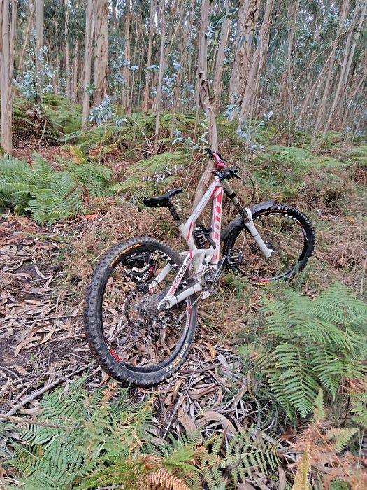 Bicicleta downhill