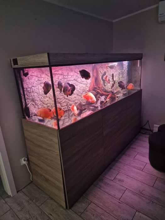 Akwarium ze stelażem 720l
