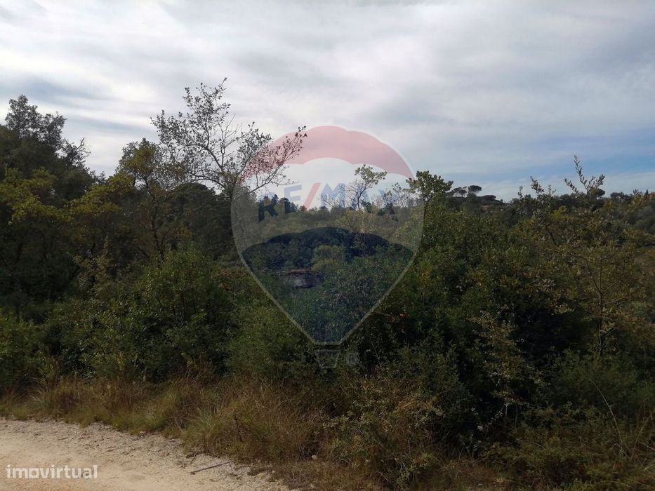 Terreno  para venda