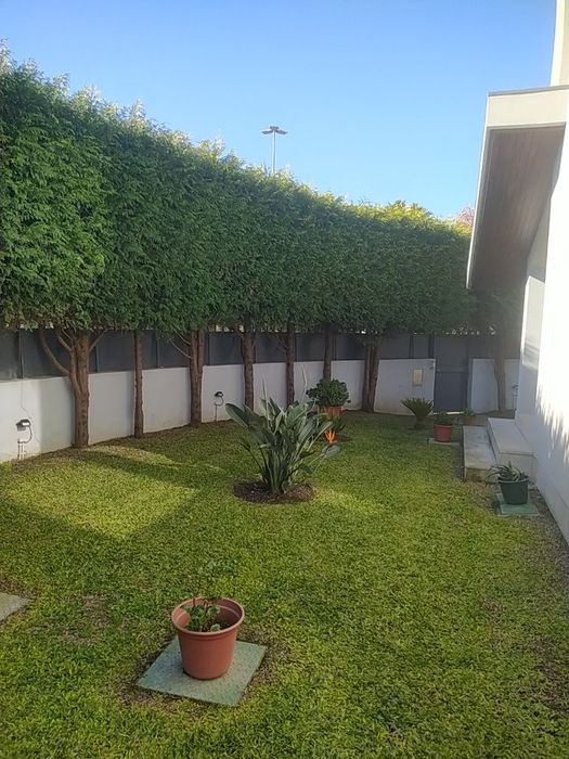 Poda de árvores e sebes