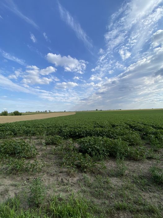 Продам земельну ділянку Обарів