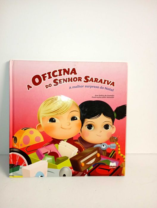 Mr. Saraiva's Workshop
