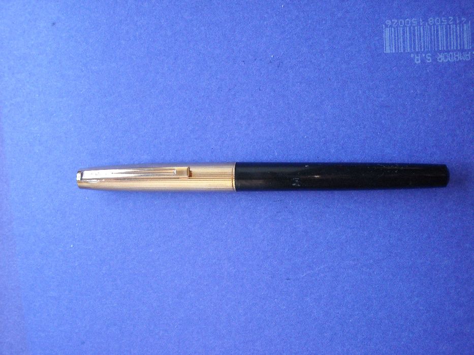Caneta tinta permanente Waterman - Ouro