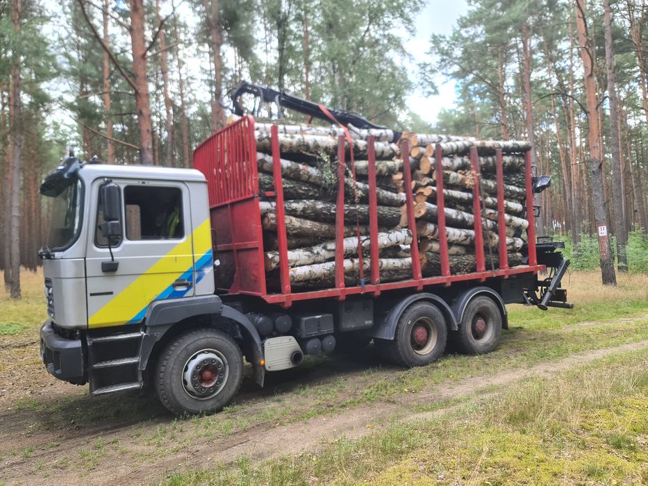 Transport Drewna z Lasu Chodzież Budzyń Margonin