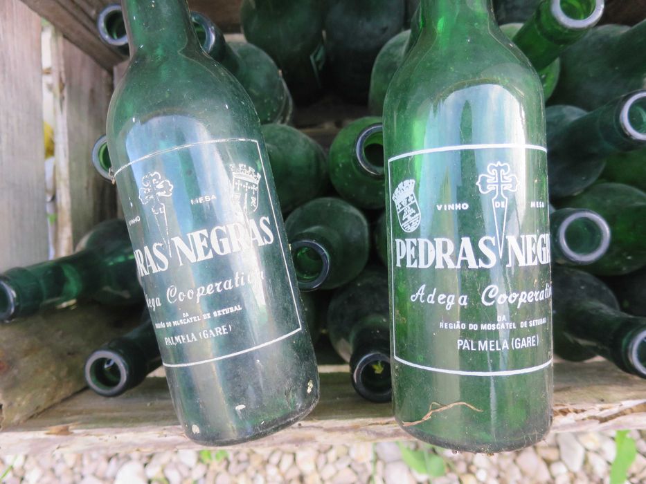 Garrafas Vinho Pedras Negras vidro pequenas velharias Adega Palmela