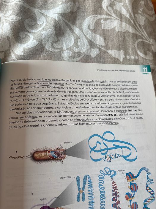 Manual de exame de Biologia e Geologia 2023 11°ano