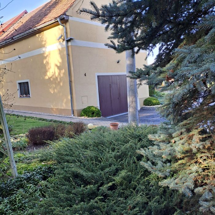 Sprzedam dom z warsztatem