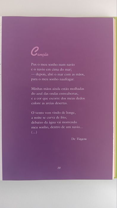 Cecília Meireles, O Instante Existe