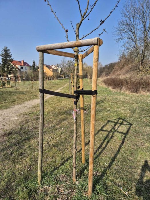 Podpora do drzew KATALP 2,5m – zestaw impregnowany (taśmy + wkręty)