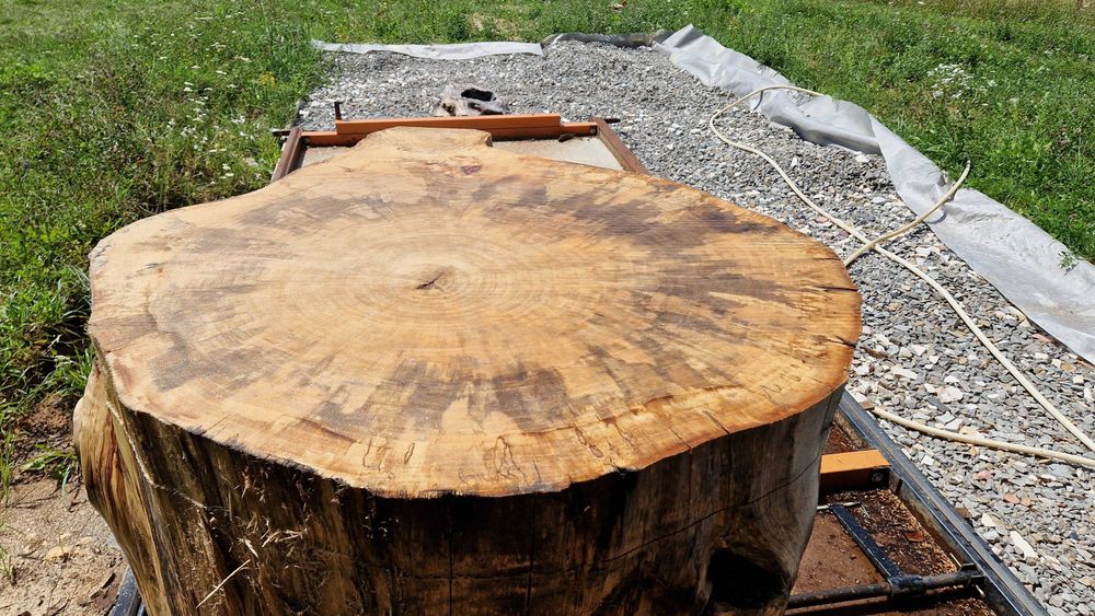 Topola plastry krążki live edge żywica PIĘKNE USŁOJENIE