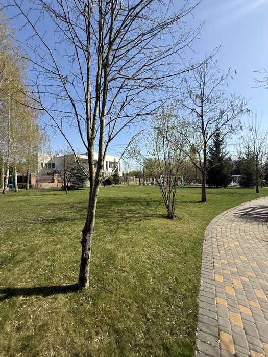 Продаж від 15 до 60 соток Хутір Ясний , Ходосівка ,Лісники