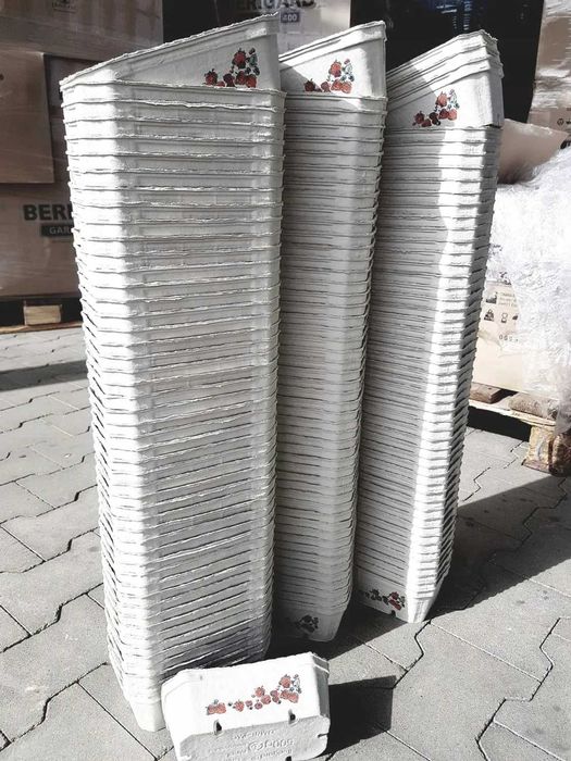 POJEMNIKI NA MALINY 500g BERIGARD 400 szt fruit pack
