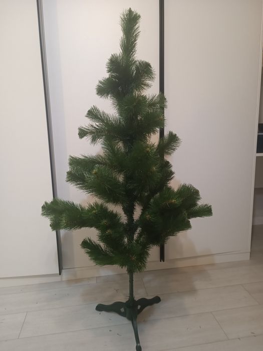 Продам ялинку / сосна