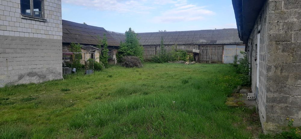 Wynajmę siedlisko