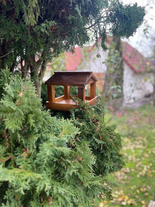 Годівничка для птахів