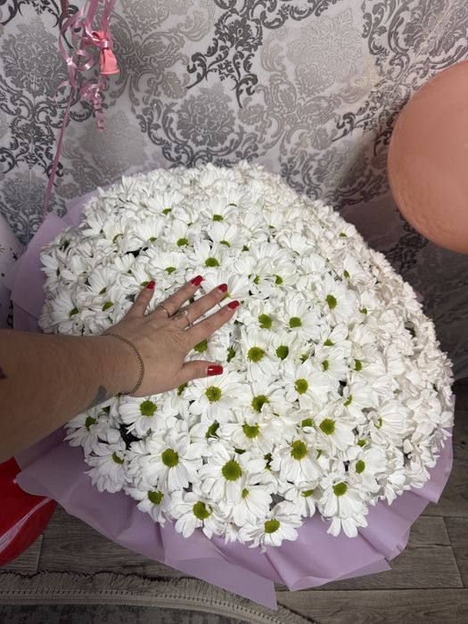 Продам большой букет белых хрызонтемы  - ромашек