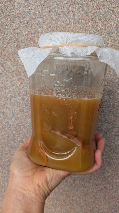 Vinagre de maçã infinito biológico