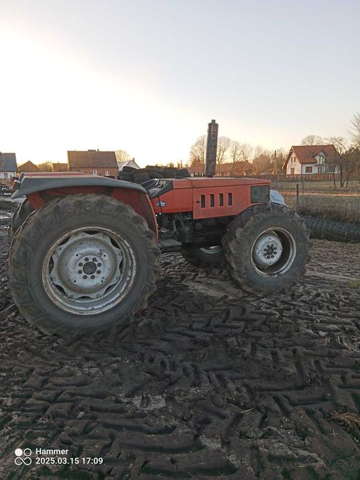 Traktor Same 80 do wozu paszowego