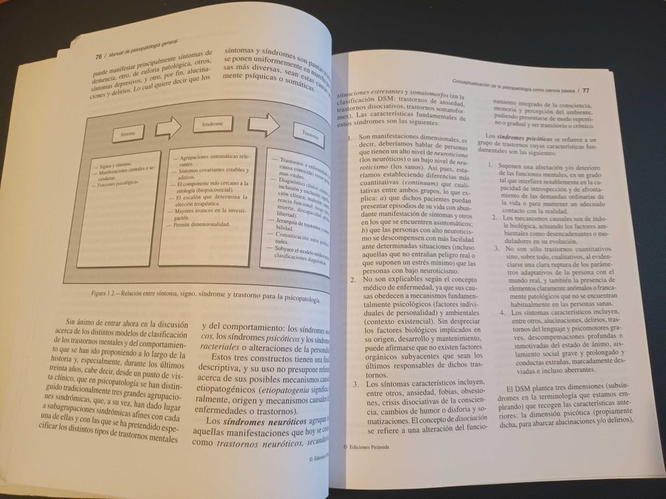 "Manual de Psicopatología General" por Pedro J. Mesa Cid e Juan Testal