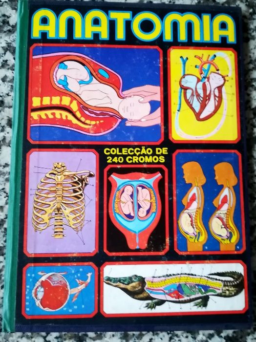 Colecções de cromos64551920938753122