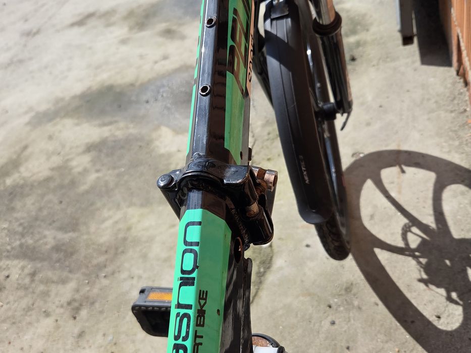 Rower Pelikan sport