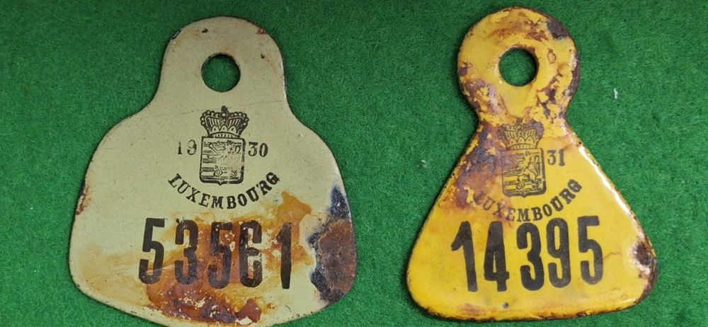 Matricula esmalte ciclomotor carroça