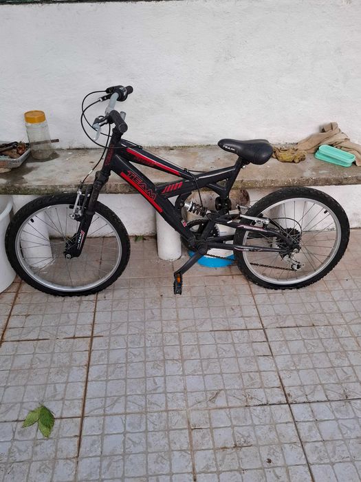 Bicicleta de criança TEAM - DS 220
