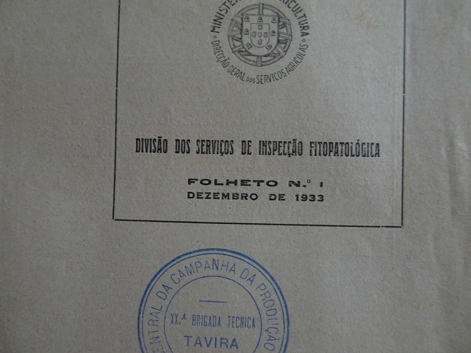 A formiga argentina - Métodos de a combater Ministério da Agricultura