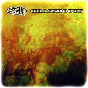 311 grassroots