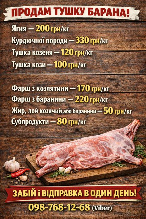 Тушка, молодої баранини,курдюк,курдючні, вівці, ягнята, м'ясо.