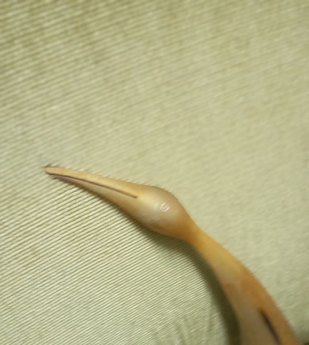 Corno africano vintage