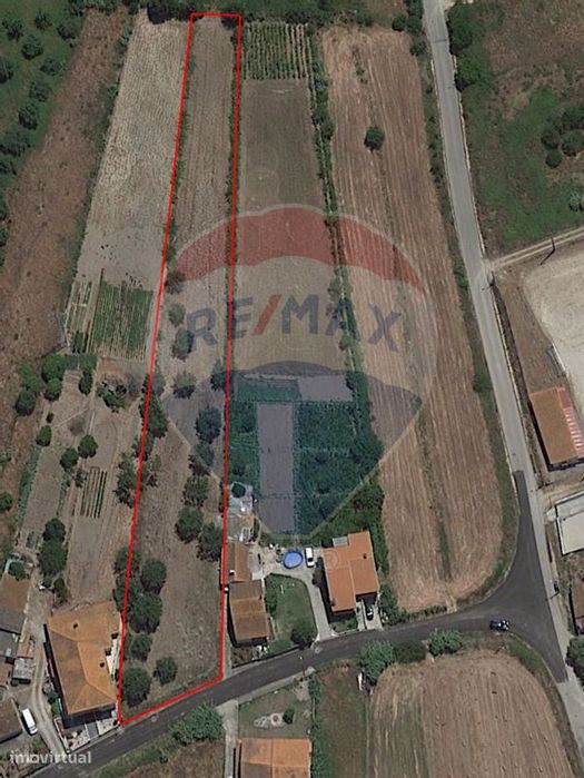 Terreno  para venda — Santo Varão, Coimbra