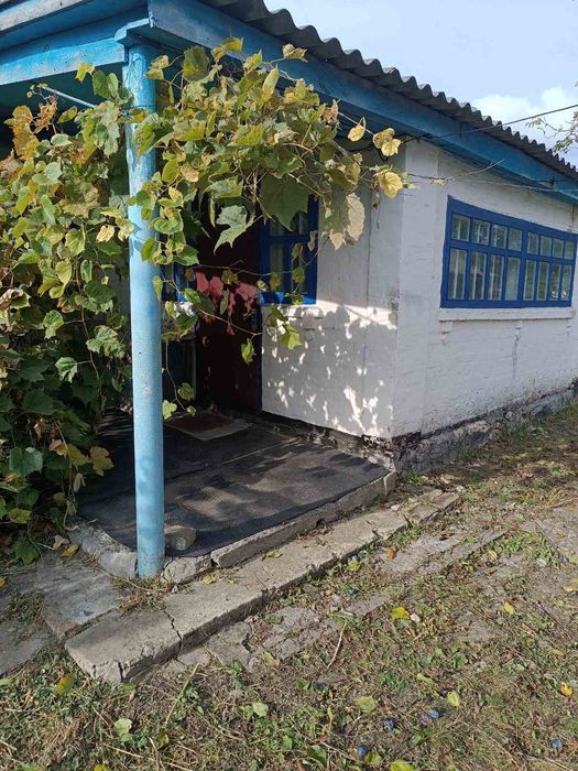 Продається будинок в смт Володарка